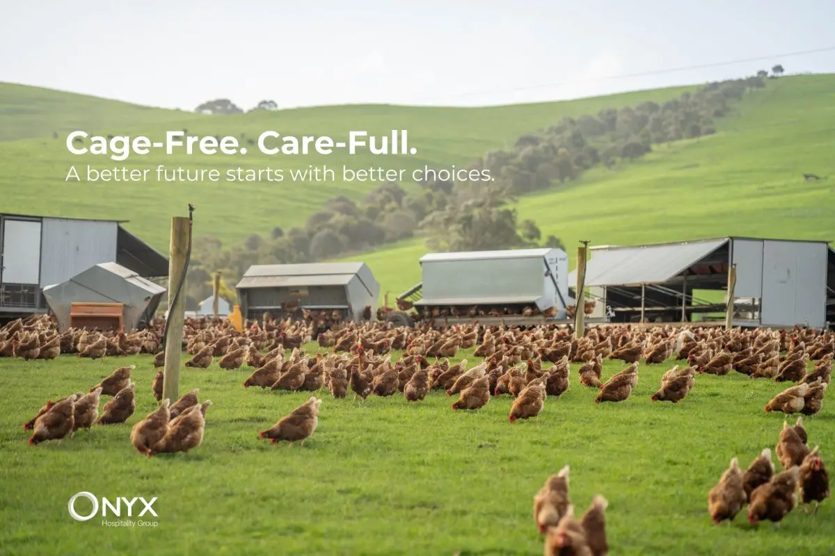 Hotels across Asia are increasingly stepping up to meet global animal welfare standards, and ONYX Hospitality Group is the latest to join this growing movement. After dialogue with Sinergia Animal...