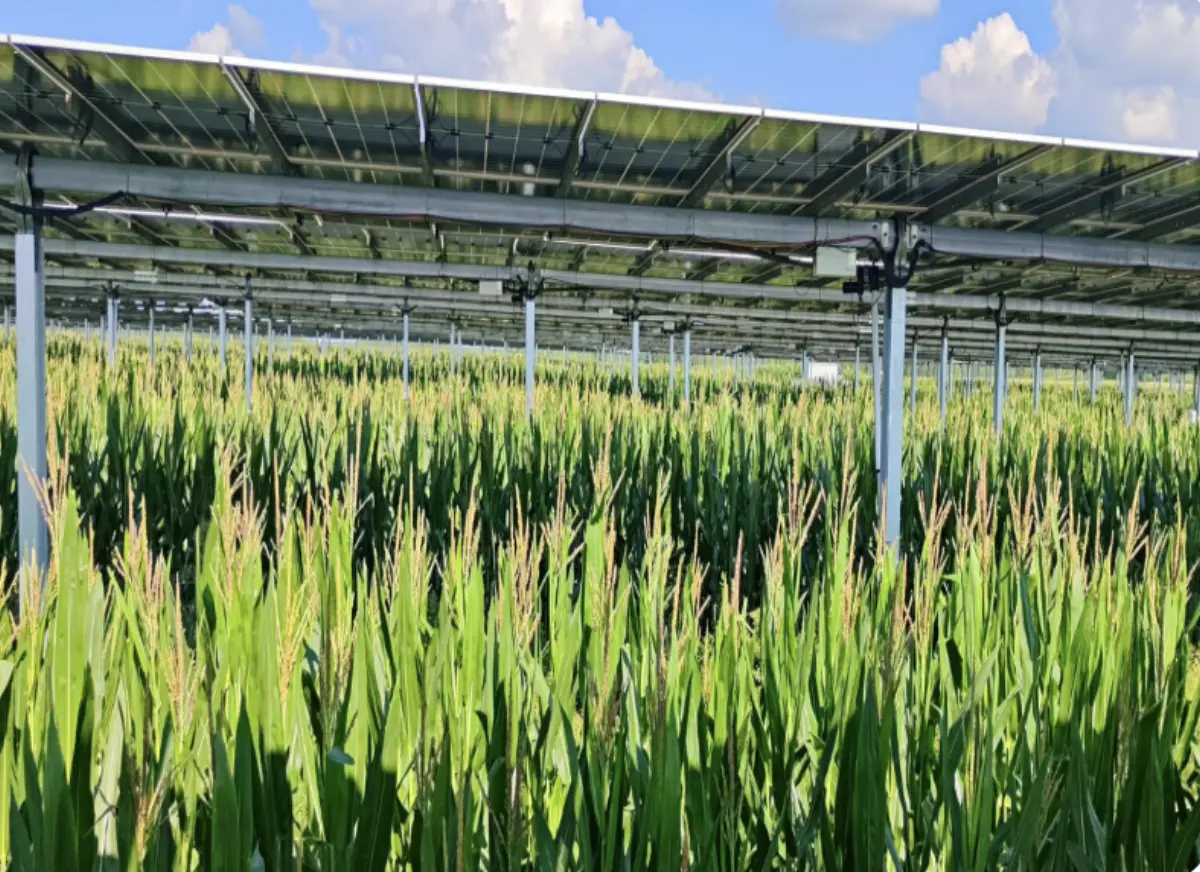 Empowering Tomorrow: Top 5 Solar Energy Innovations Driving Thailand Transformation in 2026