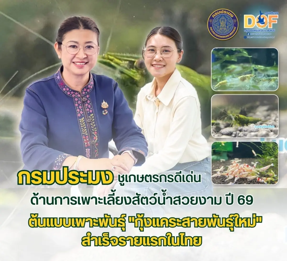 กรมประมงเชิดชูเกียรติ “นางสาวภัทรนิษฐ์ ศิระวัฒนารุจน์” เกษตรกรดีเด่นด้านการเพาะเลี้ยงสัตว์น้ำสวยงาม ปี 69 ต้นแบบเพาะพันธุ์ “กุ้งแคระสายพันธุ์ใหม่” สำเร็จรายแรกในไทย