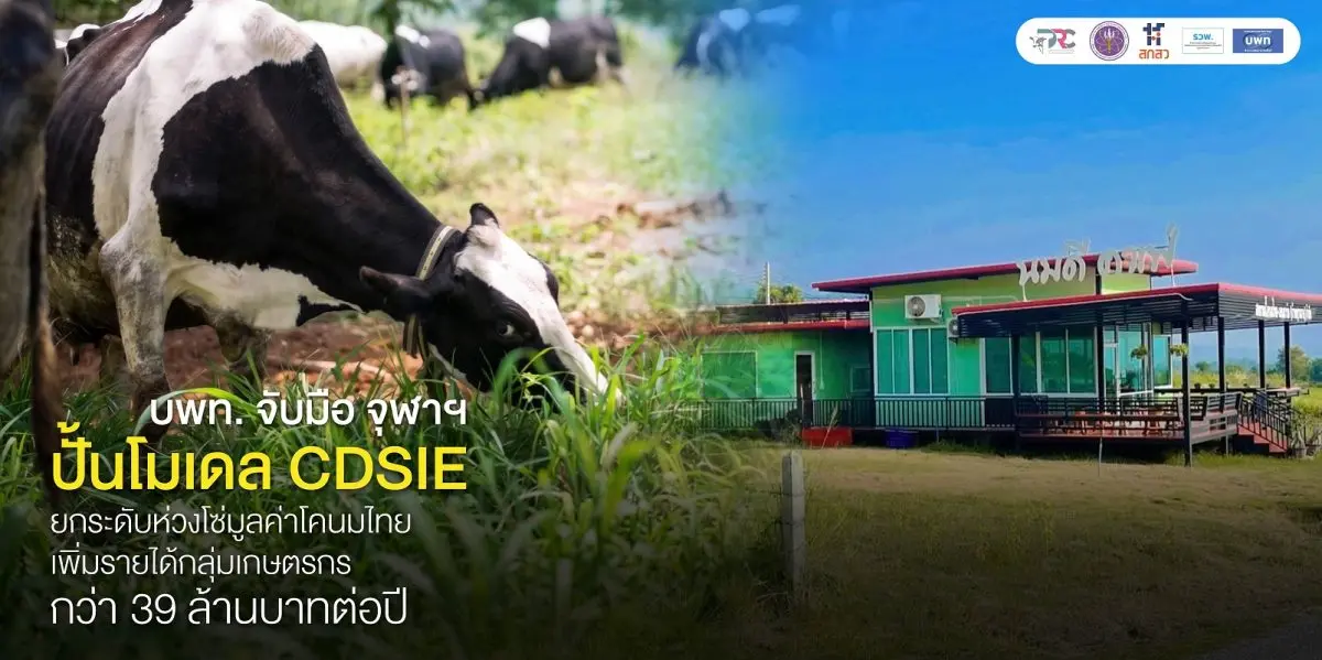 บพท. จับมือจุฬาฯ ปั้นโมเดล CDSIE ยกระดับห่วงโซ่มูลค่าโคนมไทย เพิ่มรายได้กลุ่มเกษตรกกว่า 39 ล้านบาทต่อปี