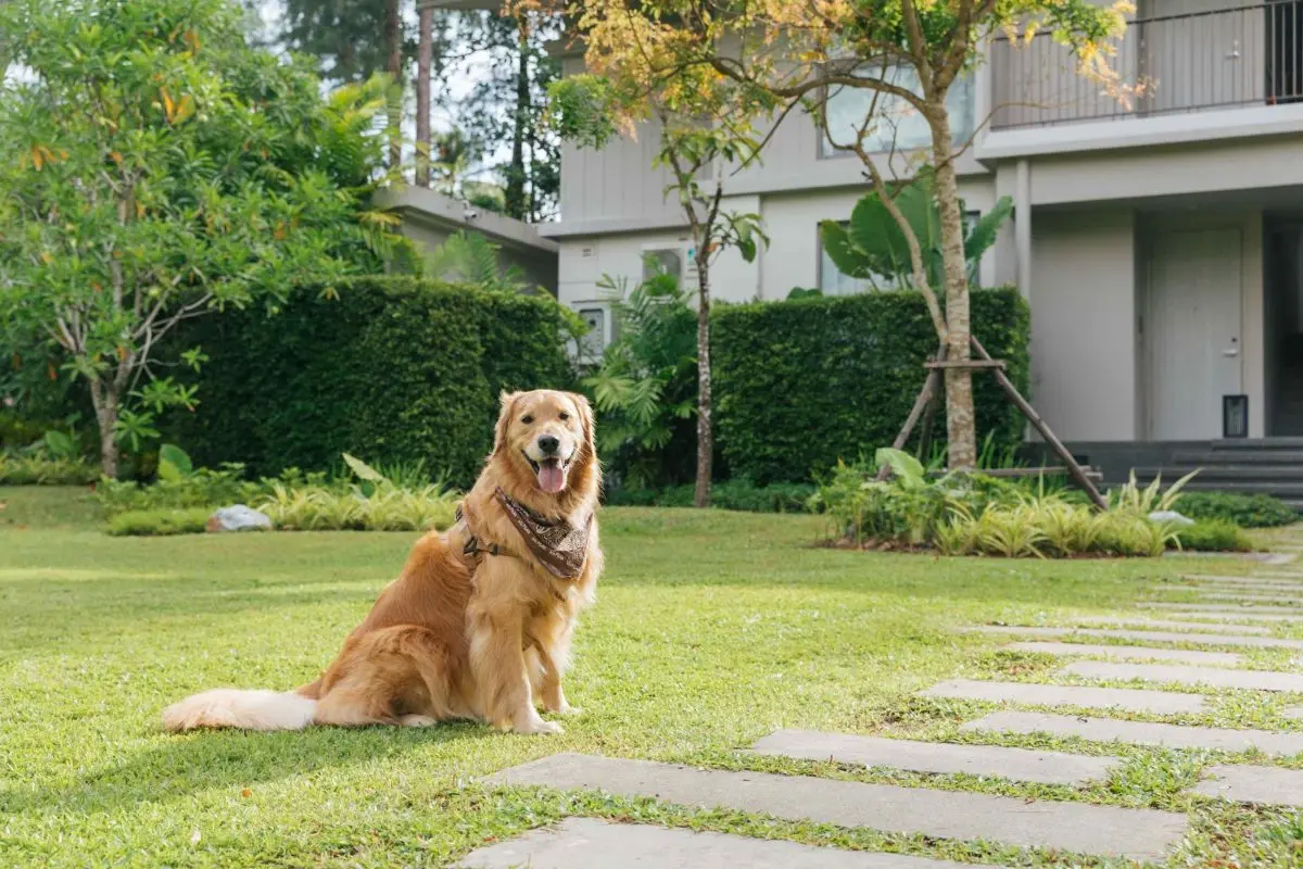 Avani Hotels & Resorts is inviting guests to celebrate International Dog Day, which takes place on 26 August, with a getaway designed for the whole household. From beach breaks and...